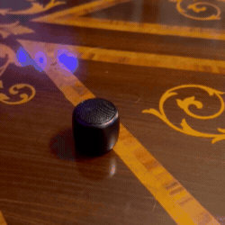 MiniEcho™